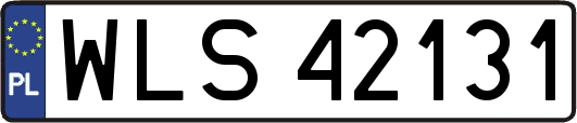 WLS42131