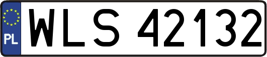 WLS42132
