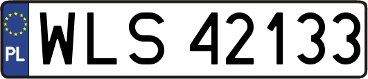 WLS42133