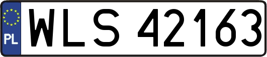 WLS42163