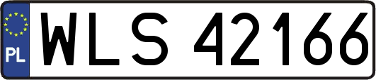 WLS42166