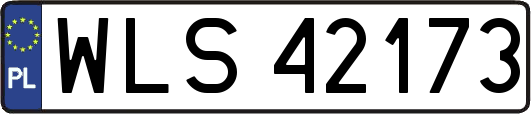 WLS42173