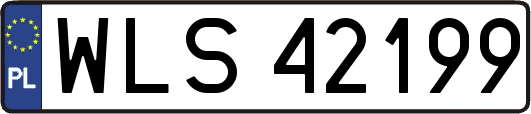 WLS42199