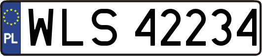 WLS42234