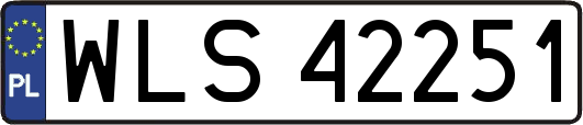 WLS42251