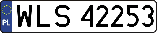 WLS42253