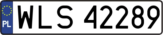 WLS42289