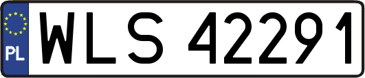 WLS42291