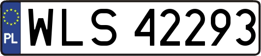 WLS42293