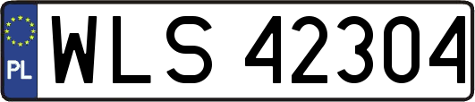 WLS42304