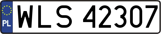 WLS42307