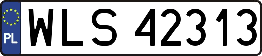 WLS42313