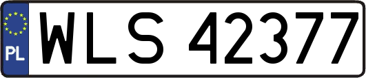 WLS42377