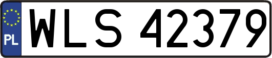 WLS42379