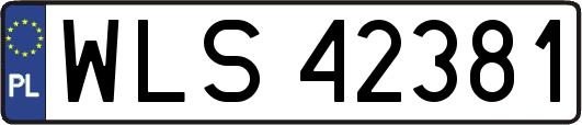 WLS42381