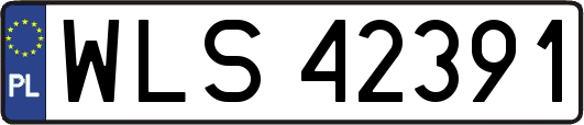 WLS42391
