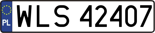 WLS42407