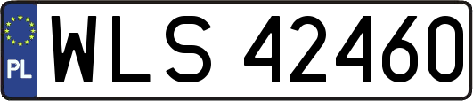 WLS42460