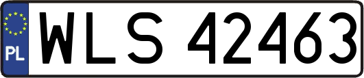 WLS42463