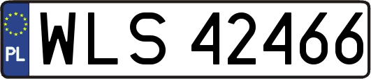 WLS42466