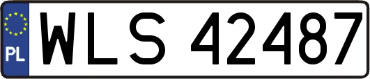 WLS42487