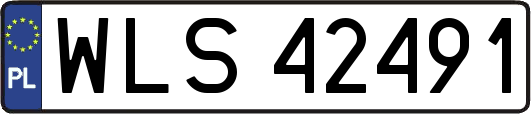 WLS42491