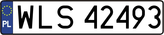 WLS42493