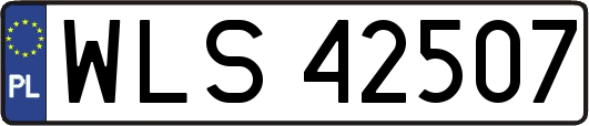 WLS42507