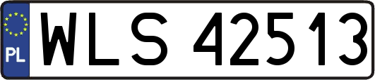 WLS42513