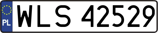 WLS42529