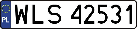 WLS42531