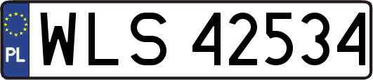 WLS42534