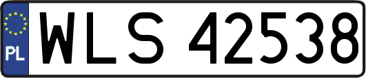 WLS42538