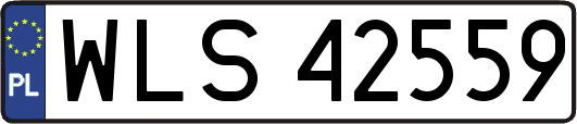 WLS42559