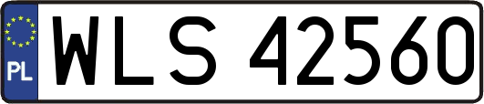 WLS42560