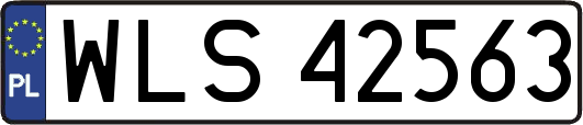 WLS42563