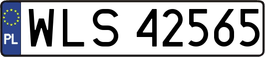 WLS42565