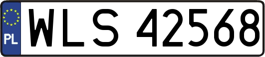 WLS42568