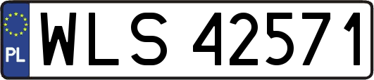 WLS42571