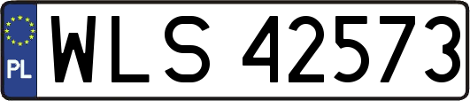 WLS42573