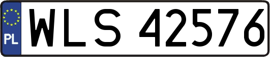 WLS42576