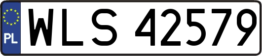 WLS42579
