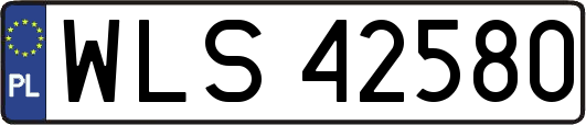 WLS42580