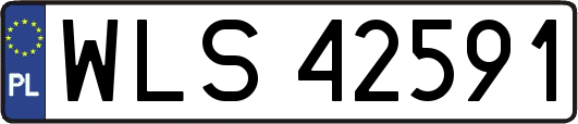 WLS42591