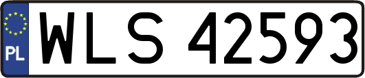 WLS42593