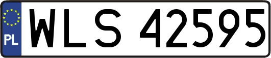 WLS42595