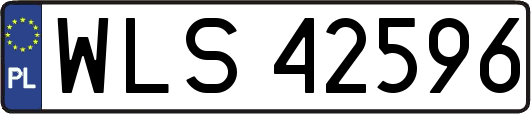 WLS42596