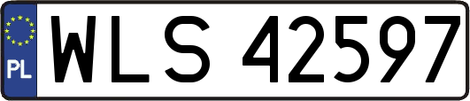 WLS42597