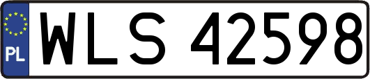 WLS42598