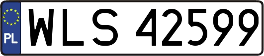 WLS42599